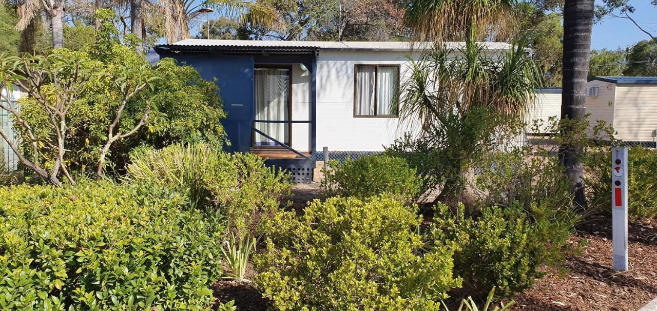 Pinjarra Caravan Park And Cabins Ngoại thất bức ảnh